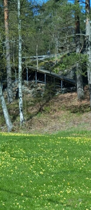 En ramp i tryckimpregnerat trä på järnställning, placerad på berg och sluttande mark, omgiven av grönska och träd.