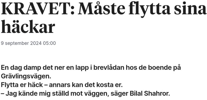 Tidningsrubrik om att boende på Grävlingsvägen måste flytta sina häckar, annars kan det bli kostsamt. Artikel publicerad 9 september 2024.