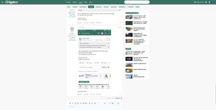 Skärmbild av en diskussionstråd på ett bygg- och renoveringsforum där användare skriver och svarar på inlägg. Dialog om att "passa and inte" och "scroll och min vän".