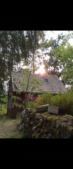 Rött torp med tegeltak beläget nära en stenmur och omringat av träd. Solen skiner genom träden bakom huset.