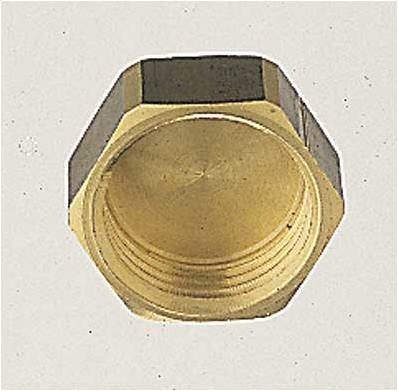 4177_1.jpg