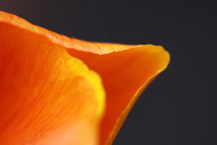 628cc4e8da51525c77c1f682385a81fa.jpg