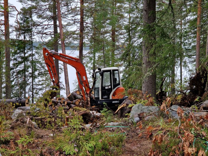 En orange grävmaskin står bland stenar och nedhuggna träd i en skog, med en sjö synlig i bakgrunden.