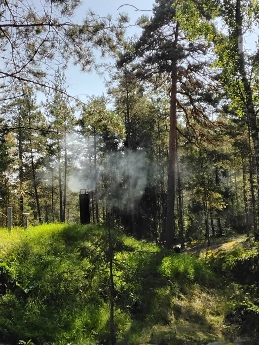 En skogsglänta med grönt gräs och träd där röken från en vedeldad bastu syns stiga upp.