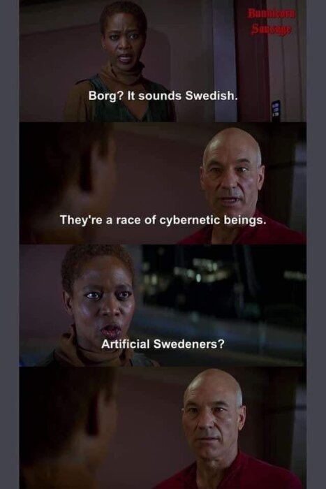 Karaktärer från Star Trek med textöverlägg, där en kvinna säger att Borg låter som svenska, och en man svarar att de är cyborg-varelser. Kvinnan frågar därefter om artificiella svenskar.