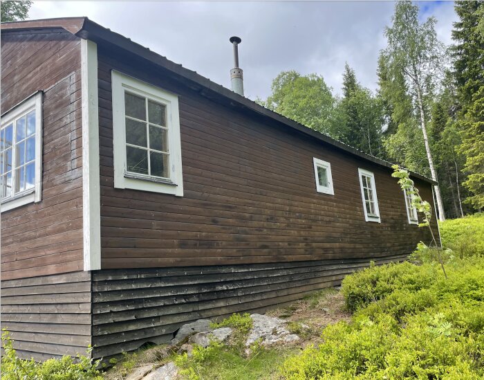 Brun trästuga med vita fönster och ett plåttak, belägen i en skogsmiljö. Tre fönster syns längs ena väggen. Träpanelen ser väderbiten ut.