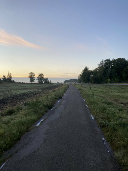 Asfalterad gång- och cykelväg på landsbygden en dimmig morgon, omgiven av träd och åkrar med en bil i bakgrunden.