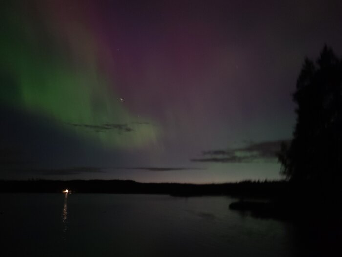 Norrsken över en sjö sett från en brygga på natten med silhuetter av träd i bakgrunden.