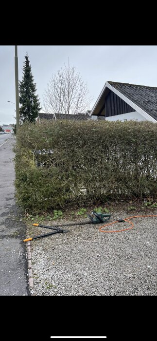 Beskuren ligusterhäck med trädgårdsverktyg och eldrivna häcksaxar liggande på grus framför en bostad i mars.