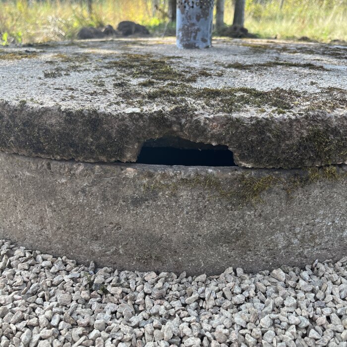 Närbild på ett betongbrunnslock med en skada och två infasningar på kanten, omgiven av grus och mossa på locket. En stång är fastsatt i mitten av locket.