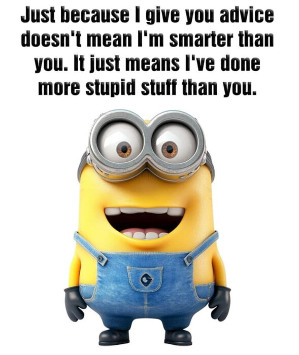 En minion från filmen "Despicable Me" står med ett stort leende, klädd i hängselbyxor och skyddsglasögon, ovanför står texten "Just because I give you advice doesn't mean I'm smarter than you. It just means I've done more stupid stuff than you.