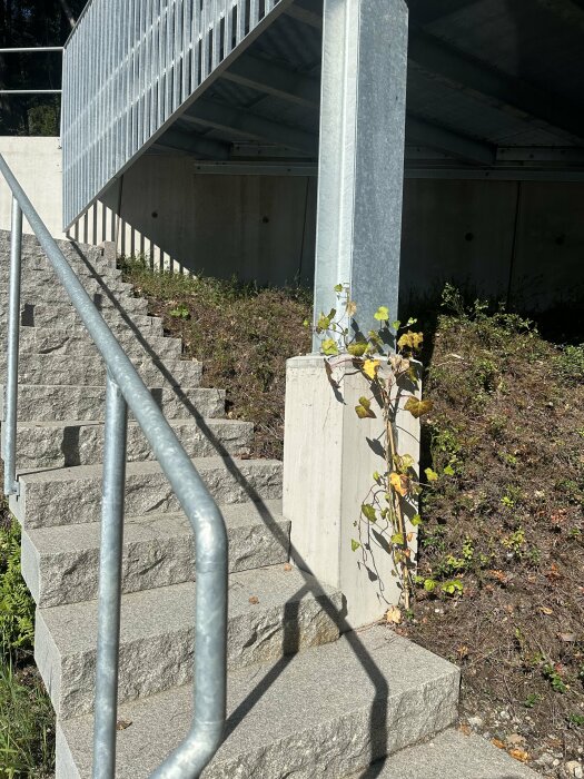 Trappa med stensteg och metallräcke bredvid en stödmur av betong och galvaniserat stål. Växter växer vid sidan av trappan.