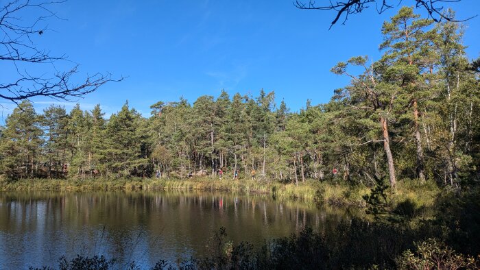 Gångstig vid sjö med tallskog och spegelblankt vatten under blå himmel, några personer går i avstånd längs stigen.