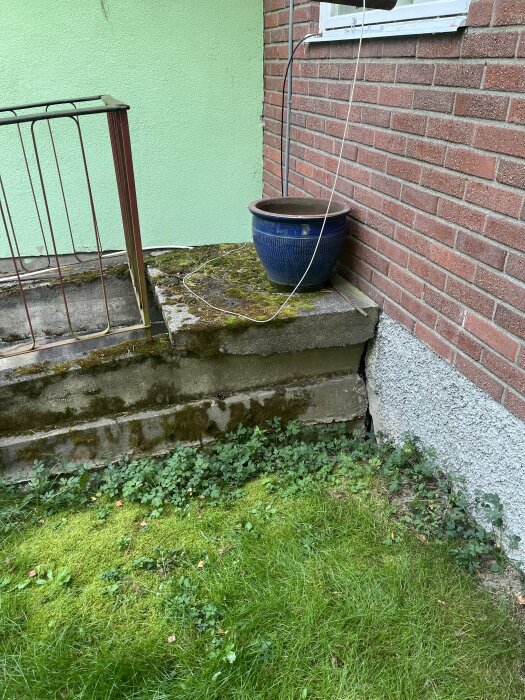 Sliten källaringång med mossa och växtlighet, kruka placerad till höger på en mur vid ett hus med grönt puts och röd tegelvägg.