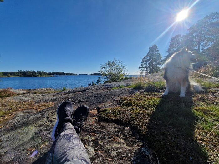 Person som ligger på klippor med utsikt över en sjö, en solig dag med en hund sedd i förgrunden.