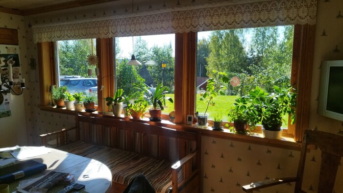 Kök med stora, träinramade tre-glasfönster och blomkrukor på fönsterbrädan. Utsikt över en grönskande trädgård.