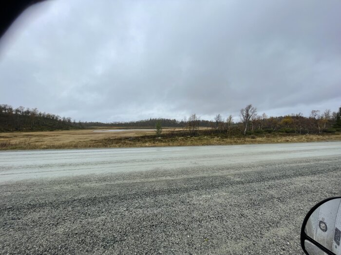 En grusväg leder till ett öppet, flackt landskap med gräsfält och spridda träd under en molnig himmel, en bilspegel syns i bildens högra hörn.