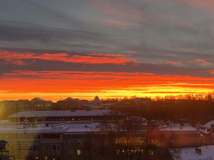 Solnedgång över ett vinterlandskap med snötäckta hustak, trädkronor och ett flammigt röd-orange sken som lyser upp himlen.