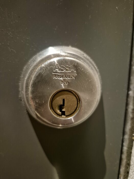 Närbild på ett Assa Abloy cylindervred SS 500 monterat på en dörr.