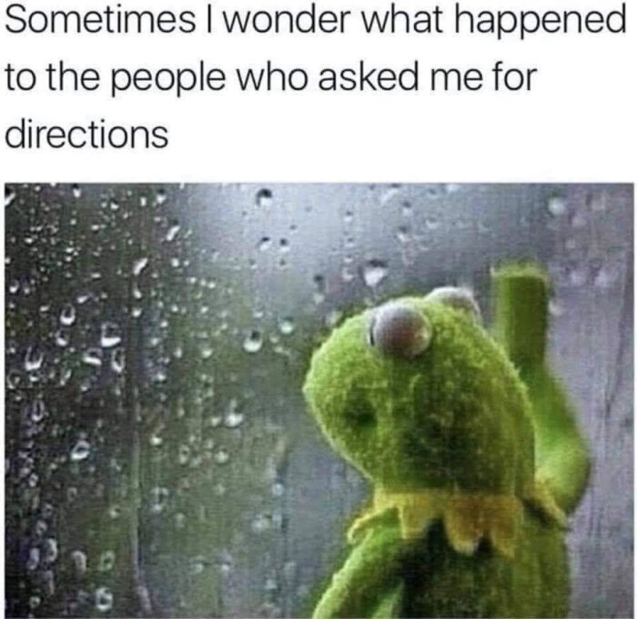 En grön grod-docka tittar ut genom ett regnigt fönster med texten "Sometimes I wonder what happened to the people who asked me for directions".