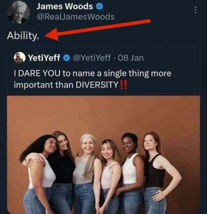 Twitter-inlägg där James Woods kommenterar "Ability." på en tweet som frågar "I DARE YOU to name a single thing more important than DIVERSITY!!", följt av en gruppbild på sex leende kvinnor.