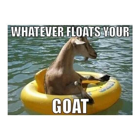 En get sitter i en gul badring på vatten med texten "WHATEVER FLOATS YOUR GOAT" ovanför och nedanför geten.