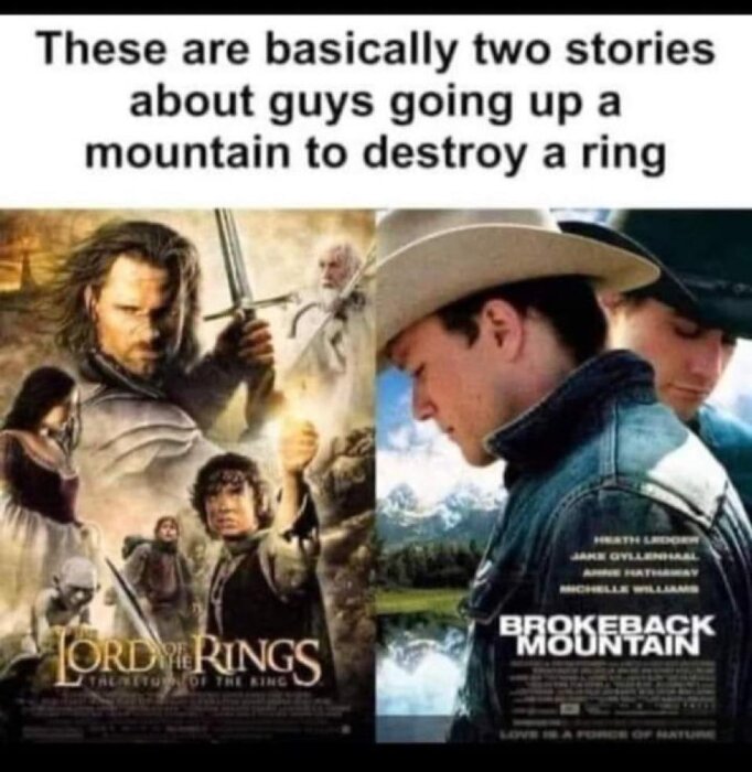 Affischer för filmerna "Sagan om konungens återkomst" och "Brokeback Mountain" sida vid sida med texten: "These are basically two stories about guys going up a mountain to destroy a ring".