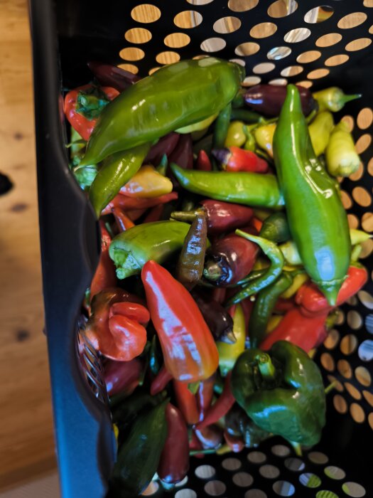 En korg fylld med olika sorters chilipeppar i olika färger och former, några milda och några extra starka upp till 100000 scoville.