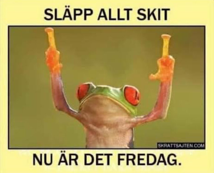 Bild av en groda med texten "Släpp allt skit, nu är det fredag" över och under grodan. Grodan håller upp båda sina händer i luften.