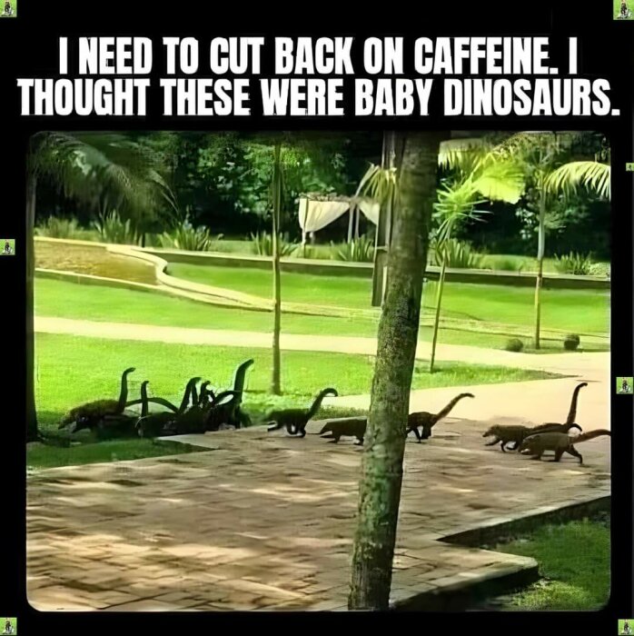 En grupp av små ödlor med långa svansar går på en stenlagd stig i en grön park. Texten ovan lyder: "I need to cut back on caffeine. I thought these were baby dinosaurs.