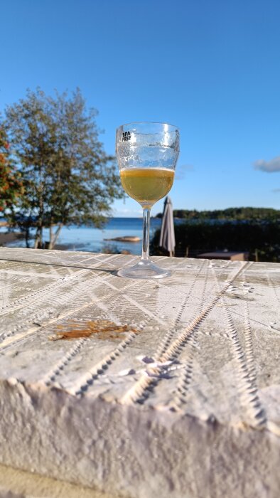 Ett glas med dryck står på en cementyta vid vatten, med trä och skog i bakgrunden på en solig dag.