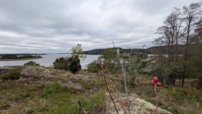 Vy över ett lugnt vattendrag med skogsklädda kullar i bakgrunden och klippor med växtlighet i förgrunden under en molnig himmel.