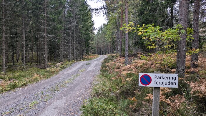 Grusväg genom skog med träskylt till höger som visar förbudsmärke och texten "Parkering förbjuden.