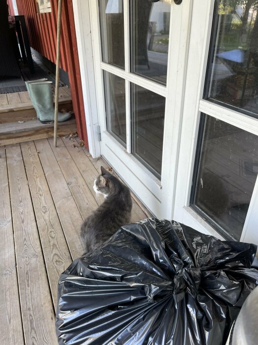 Katt sitter på en träveranda framför en stängd vit dörr. En svart sopsäck och en grön stövel syns också på verandan.