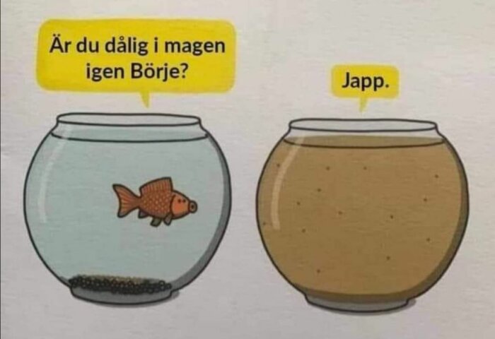 Tecknad bild på två fiskar i varsin skål. En fisk i ren skål säger "Är du dålig i magen igen Börje?" och en annan fisk i en grumlig skål svarar "Japp".