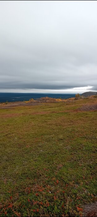 En vidsträckt grön äng under en molnig himmel med buskar och träd i höstfärger samt berg i bakgrunden.