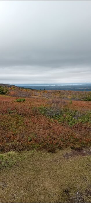 Utsikt över ett höstlandskap med färgstarka buskar och träd under en molnig himmel. I bakgrunden syns en sjö och avlägsna öar.