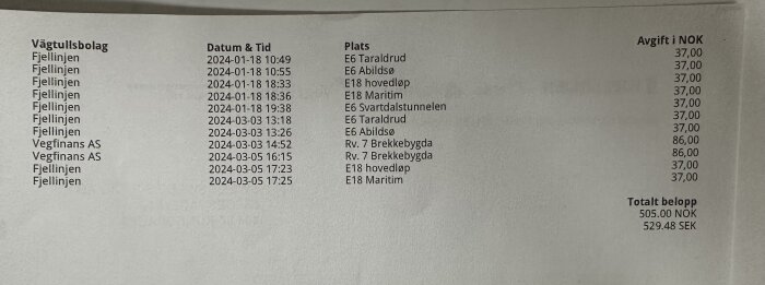 Utskrift av vägkostnader från flera platser och tider i Hemsedal, total kostnad 505 NOK (529,48 SEK).