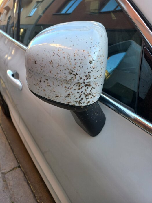 Närbild på en vit bils sidospegel täckt av smuts och insektsrester, parkerad på en gata framför en byggnad.