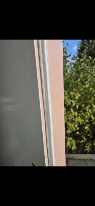 Foto av ytterkanten av en dörr med en vit tätningslist mellan dörren och karmen, träd och buskar i bakgrunden.