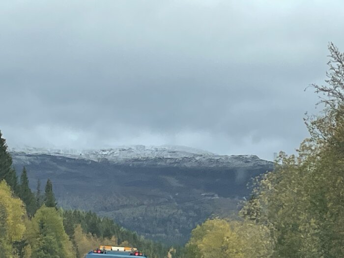 En väg kantad av träd och ett snötäckt berg i horisonten under en mulen himmel. En lastbil syns längst ner i bild.