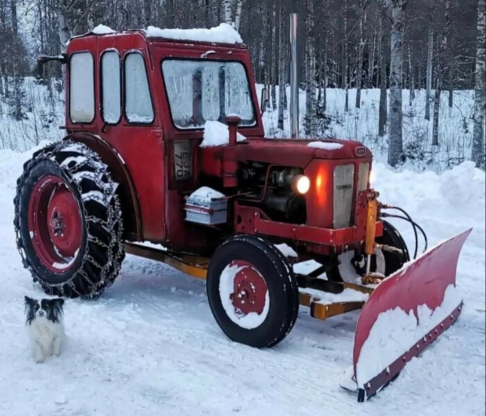 En Volvo BM T320 traktor med snöplog parkerad i snöigt landskap. En liten hund sitter bredvid traktorn.