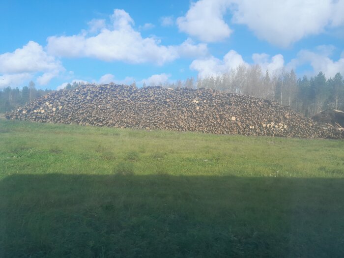 Stort lager av vedträn staplade på varandra på en grön gräsmatta med en skog i bakgrunden och en blå himmel med moln.