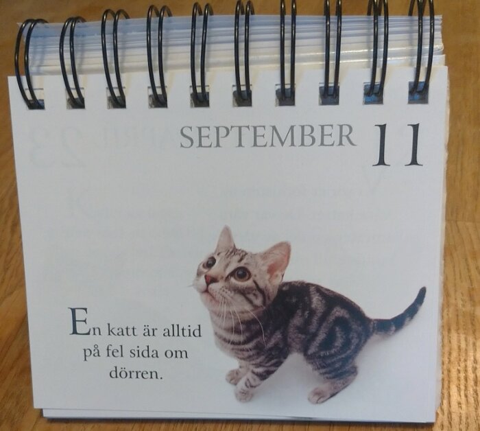 Blädderblock med bild på en kattunge och citatet "En katt är alltid på fel sida om dörren" under datumet 11 september.