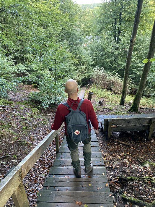 Person går nedför en trätrappa i skogen, bär en ryggsäck och är omgiven av gröna träd och buskar.