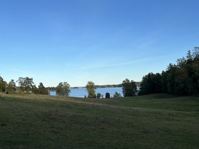 En grön äng med utsikt över en sjö i bakgrunden, omgiven av träd och skog under en klarblå himmel.