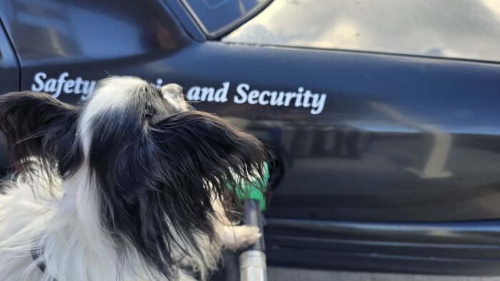 En hund bredvid en bil med texten "Safety and Security" på sidan, medan ett bensinpumpmunstycke sätts in i bilens tank.