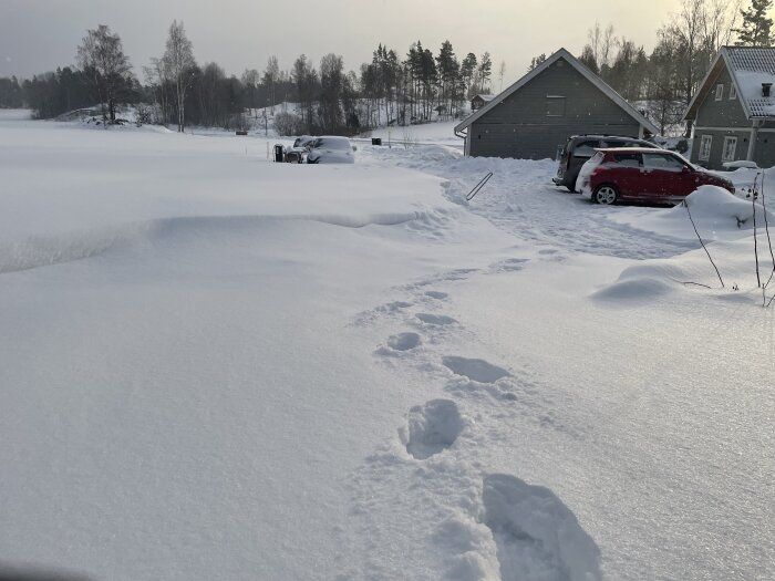 Snötäckt gårdsplan med fotspår leading mot parkeringen, täckta bilar och ett hus i bakgrunden, en vintrig morgon 2023.