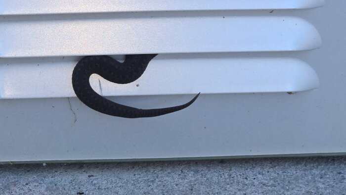 En huggorm som kryper in i ett ventilationsgaller på en garageport.