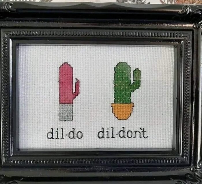 Broderi med två bilder: en dildo ovanför texten "dil-do" och en kaktus ovanför texten "dil-don't", inramat med svart ram.